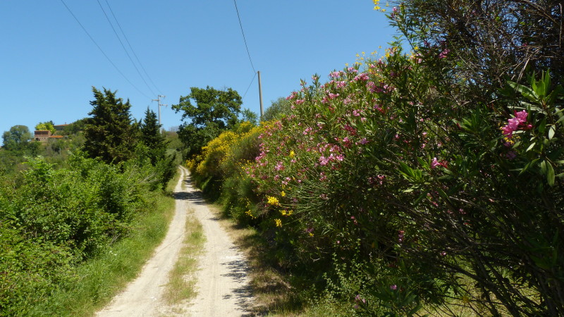 sottogello-16
