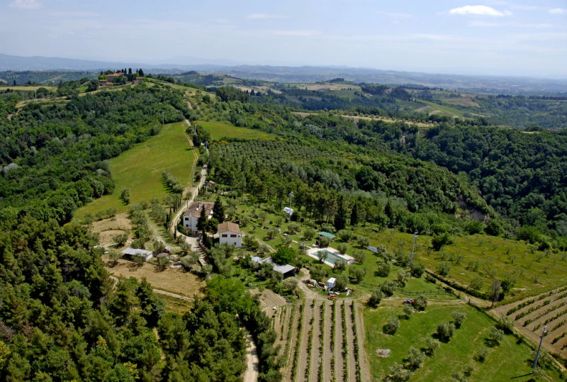 panorama
