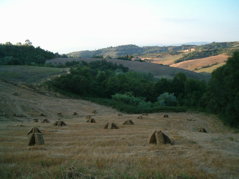 Presse di paglia