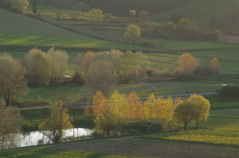 Primavera